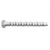 Rawlplug LX Masonry Bolts x 140mm 10 Pack -Bolts Sales 1223F P