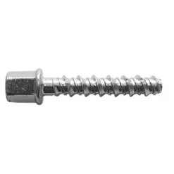 Rawlplug Internal Threaded Screwbolts M8 x 35mm 10 Pack